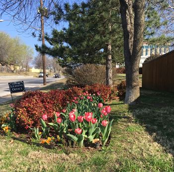 Spacious, beautifully landscaped grounds
